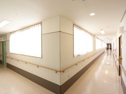 清潔な廊下の光景