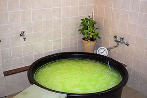 緑色の湯がある浴室