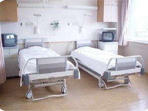 2床の居室  