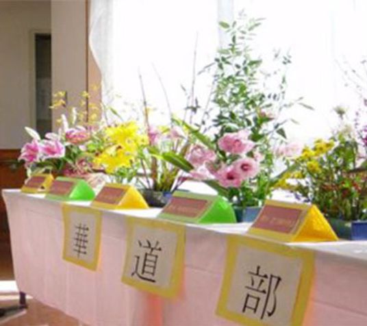 華やかな自然光の空間