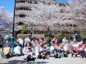 満開の桜と集合風景