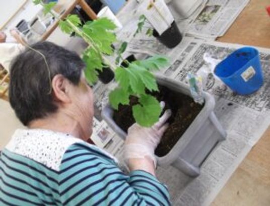 笑顔の女性と植栽作業