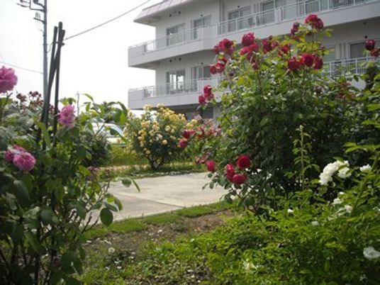 花咲く中庭と建物  
