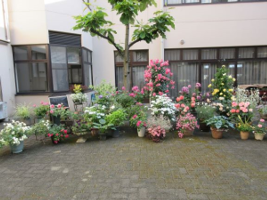 花壇のある中庭  