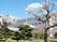 桜咲く施設外観  