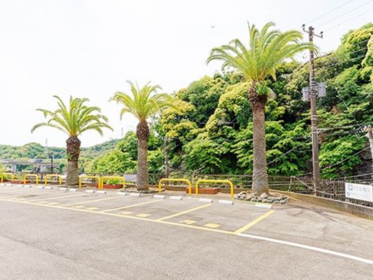 ヤシの木が並ぶ外観  