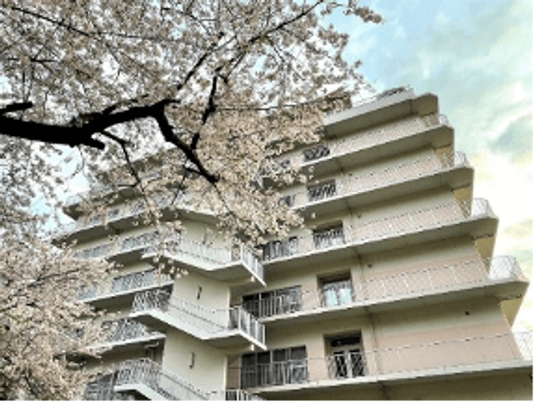 桜と建物の外観  