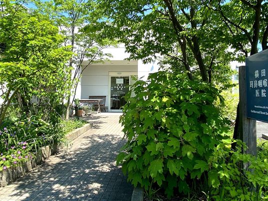 木々に囲まれた入口前  