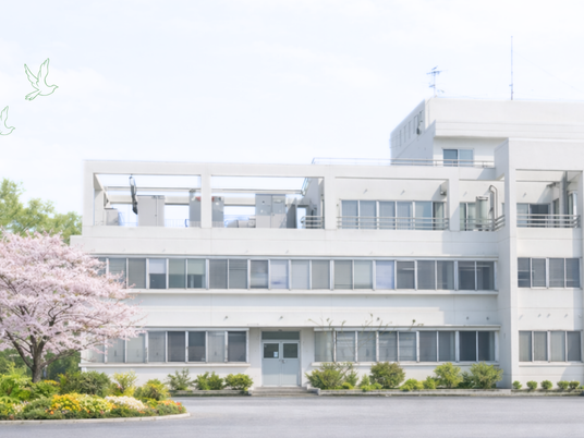 明るい建物外観  