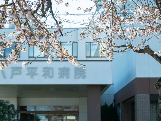 桜と建物の外観  