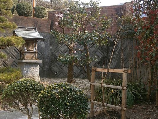 庭の植栽と石灯籠のある庭  