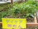 福島県厚生農業協同組合連合会塙厚生病院 調理師・調理スタッフ（日勤専従）（契約社員）