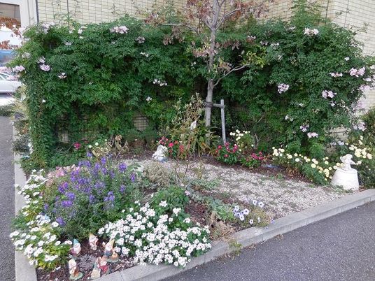 花壇のある中庭  