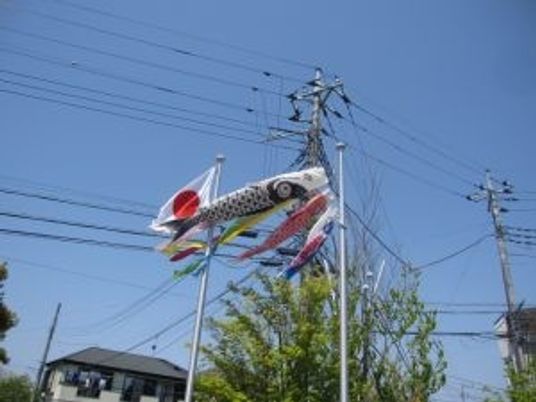 こいのぼりが泳ぐ庭先  