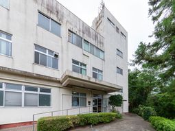緑豊かな建物の外観