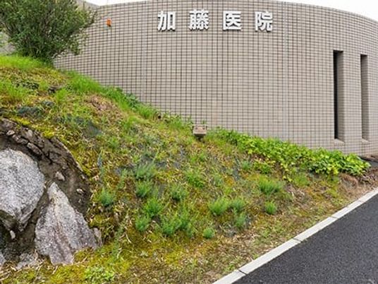 外観の建物壁面  