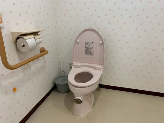 広いトイレの様子