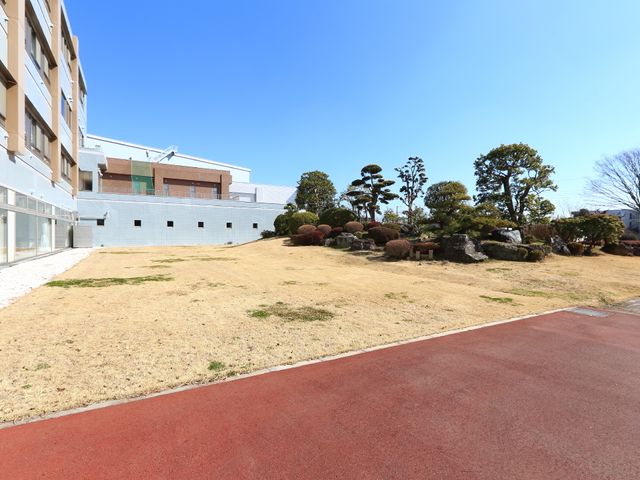 庭の緑豊かな風景 庭 心安らぐ緑の庭が自慢です。新しい職場での穏やかなお散歩タイムをお楽しみいただけます。