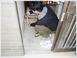 河端病院 准看護師（シフト制）（正社員）