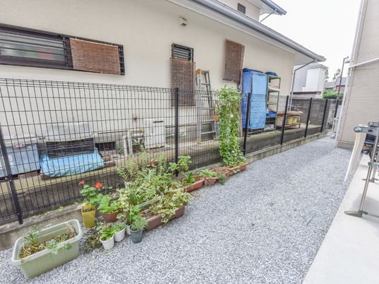 緑あふれる中庭の光景