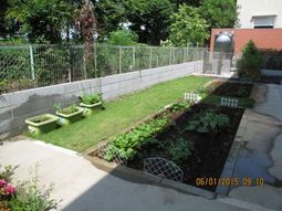 植物が育つ院内庭園