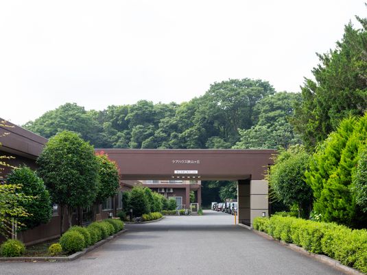 緑に囲まれた入口