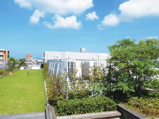 緑広がる屋上庭園  