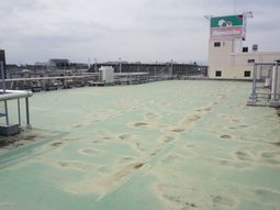 広々とした緑の屋上