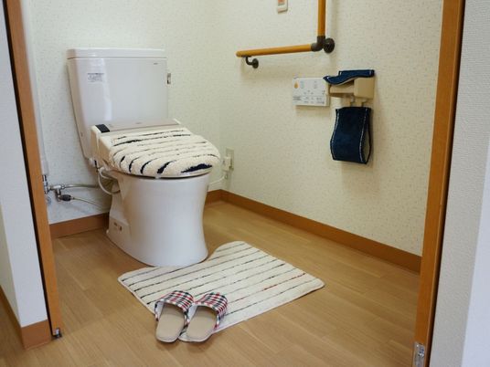 ストライプ模様のフタカバーが付いたトイレは、温水洗浄便座となっている。右側の壁には、ペーパーホルダーと手すりが付いている。