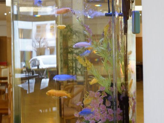 大きな水槽の中で、カラフルな熱帯魚が気持ちよさそうに泳いでいる。右下には、淡いピンクや黄色の水中花もセットされている。