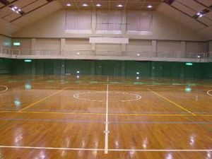 広い体育館の床です。  