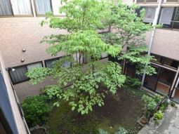緑豊かな施設の中庭