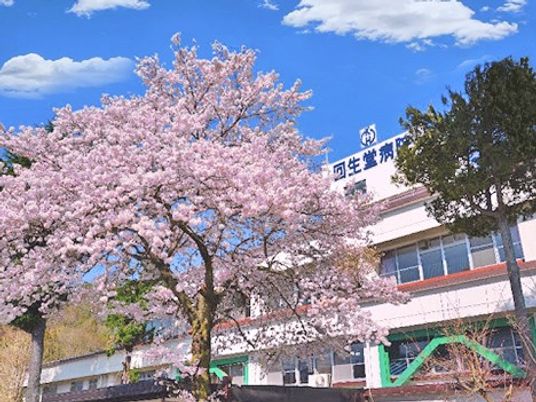 桜と建物の外観  