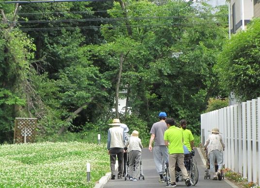 緑豊かな庭園の道