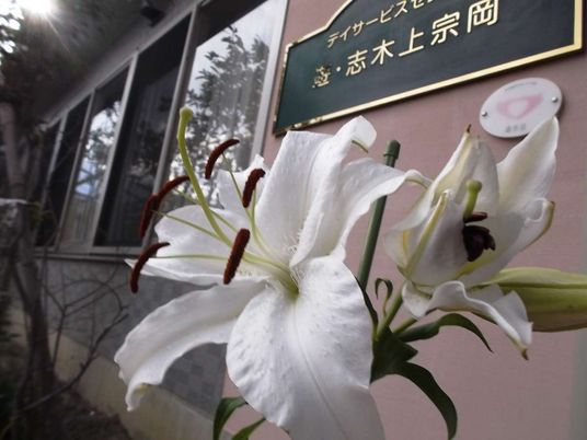 庭の花と施設の看板