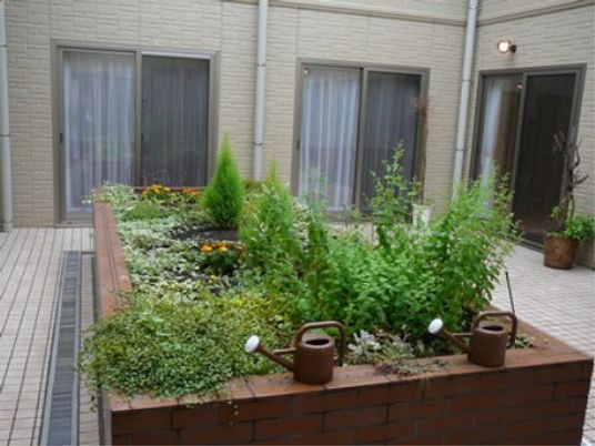中庭の緑豊かな植栽