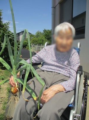 楽しそうな庭の様子