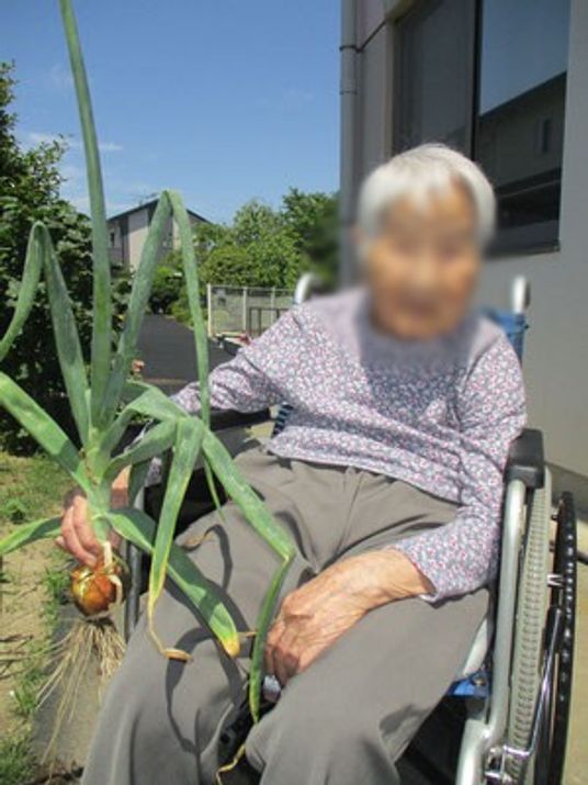 楽しそうな庭の様子