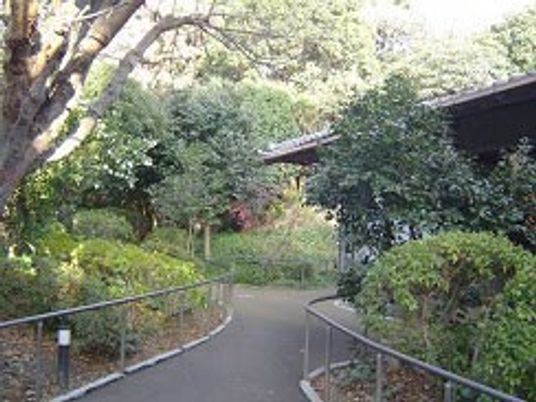 緑に囲まれた園路  