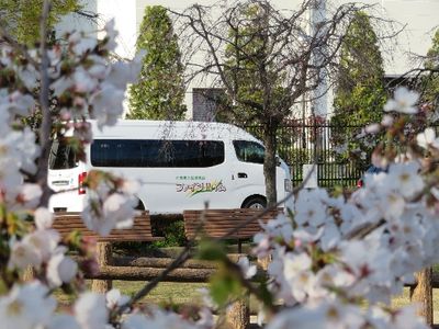 桜が咲くバスの周辺