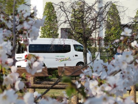 桜が咲くバスの周辺