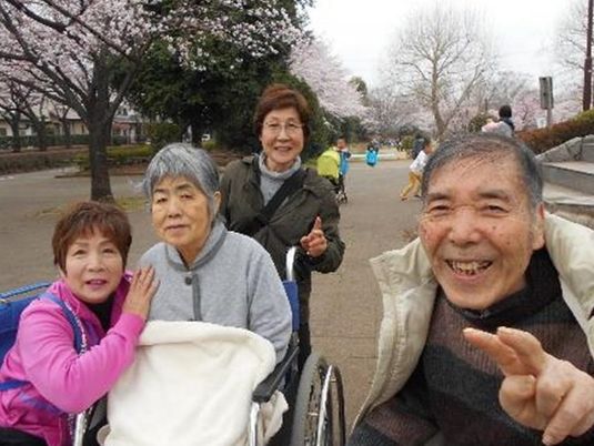 花見を楽しむ高齢者たち