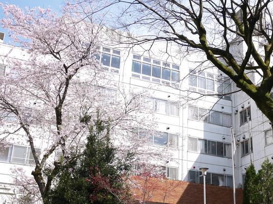 桜が咲く建物外観  