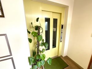 緑が映えるエレベーターホール