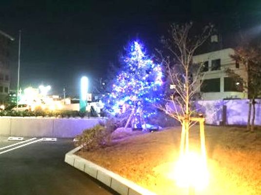 夜の庭のイルミネーション  