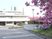 桜咲く施設の外観  
