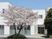 桜のある建物外観  