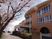 桜と建物の外観  