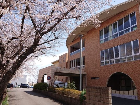 桜と建物の外観  