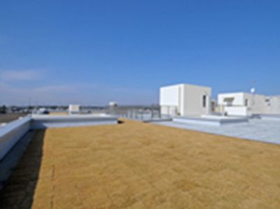 広々とした屋上スペース